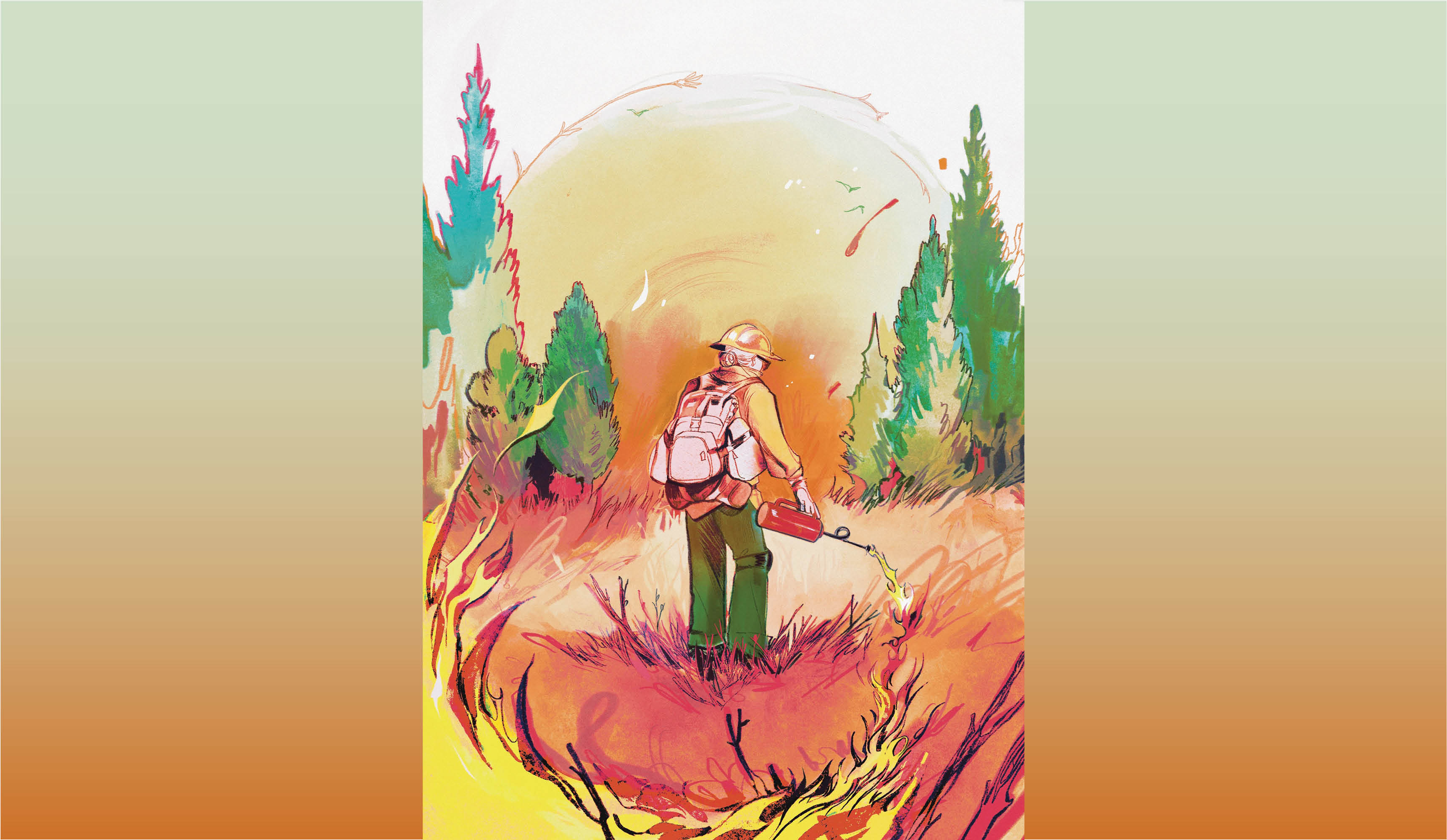 An illustration depicting a wildland firefighter using a drip torch