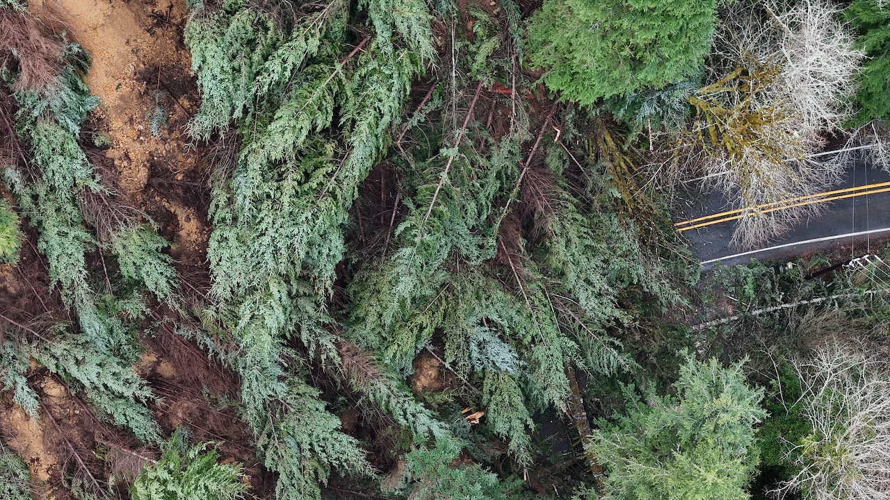 Photo of a highway through a forest taken from the air. In half the image the highway is wiped out by a huge landslide.
