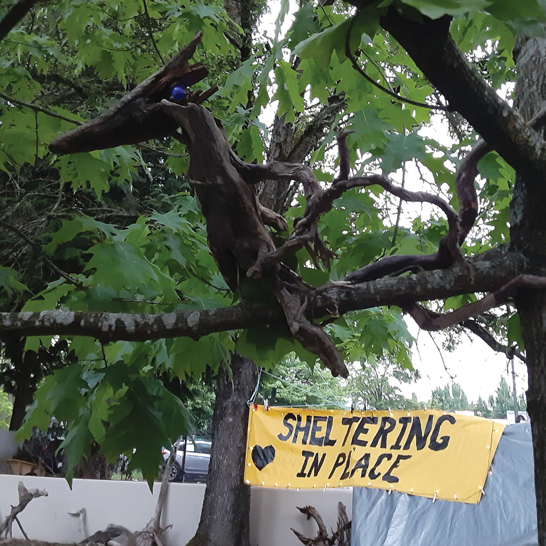 A sculpture made from found wood hangs from a tree. In the background are a tent and a sign reading, "Sheltering in Place"